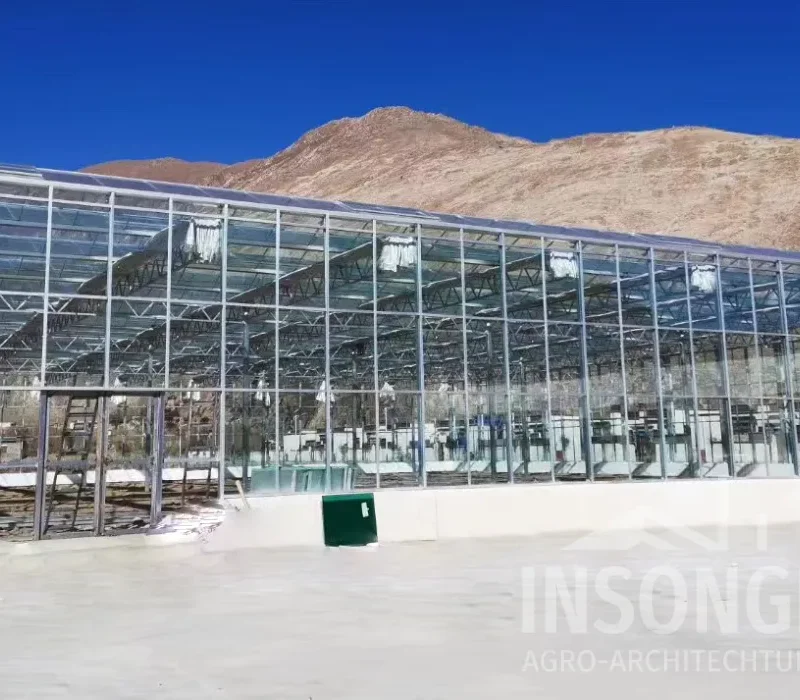 Glass Greenhouse by INSONGREEN