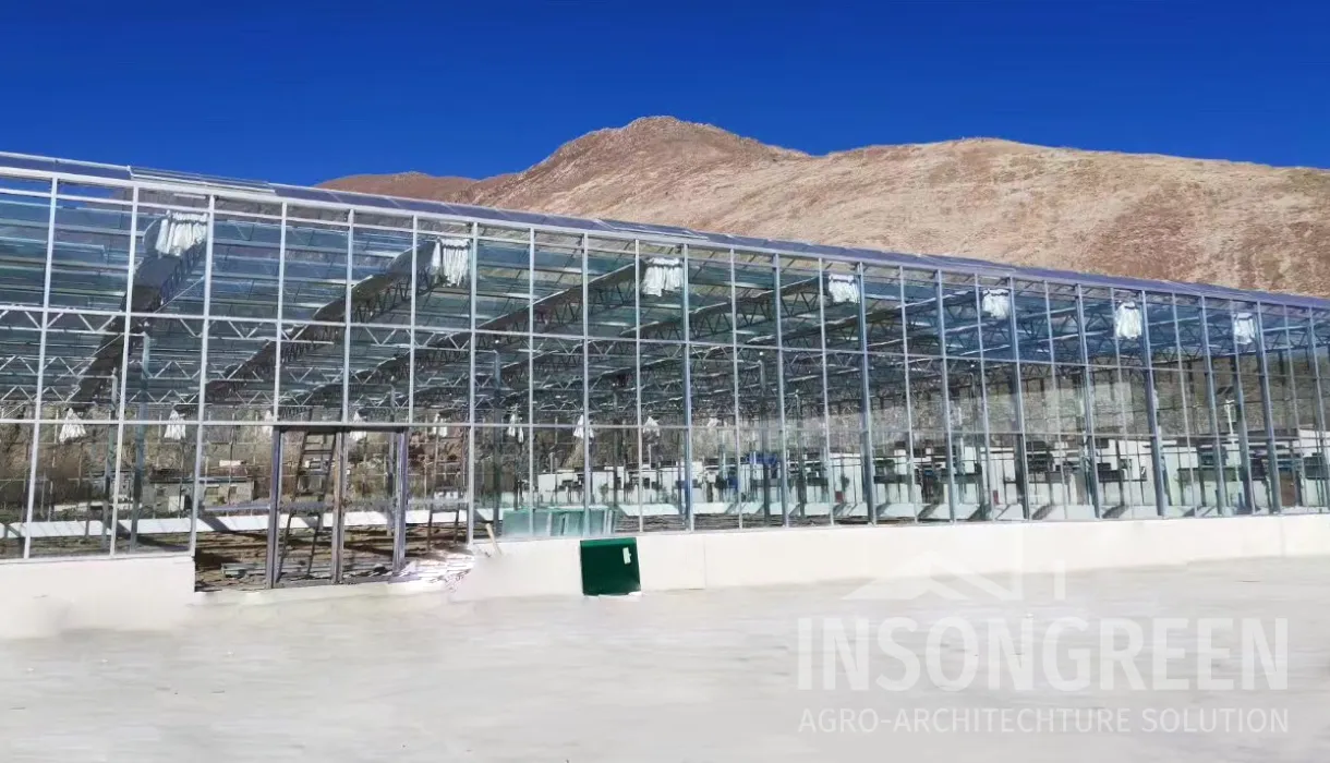 Glass Greenhouse by INSONGREEN