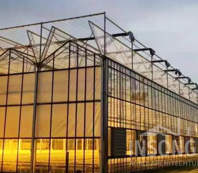 INSONGREEN Glass Greenhouse Venlo