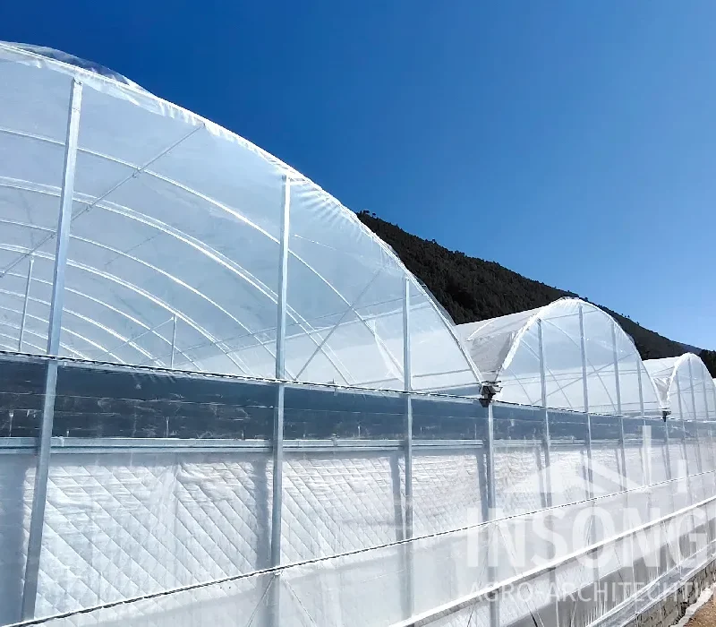 INSONGREEN Widespan Poly Greenhouse