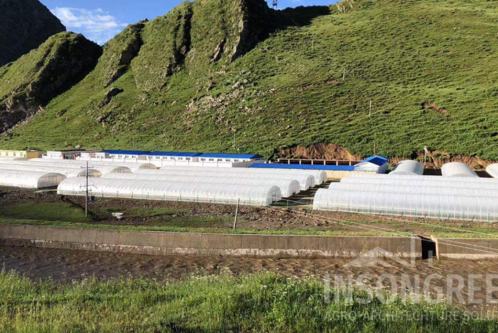 poly greenhouse 1-4 by INSONGREEN