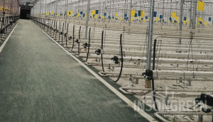 Commercial Greenhouse Irrigation Device