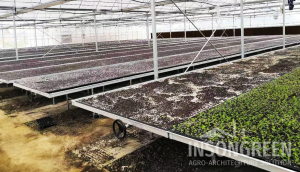 Greenhouse Benches for Plants