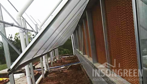 Greenhouse Side Window