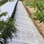 INSONGREEN Cold Frame Greenhouse