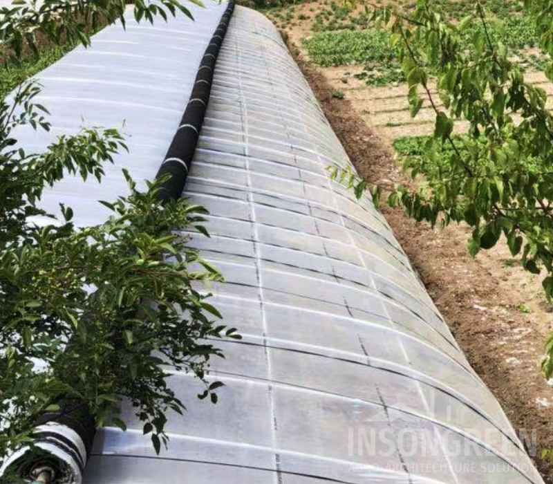 INSONGREEN Cold Frame Greenhouse