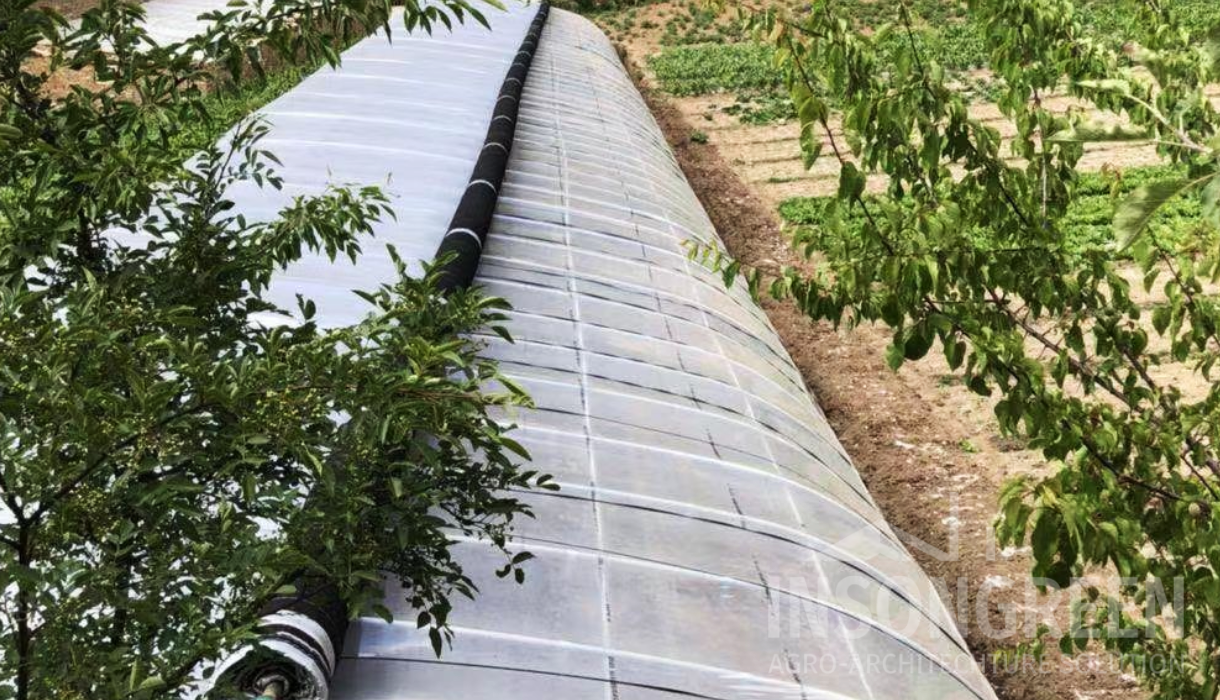 INSONGREEN Cold Frame Greenhouse