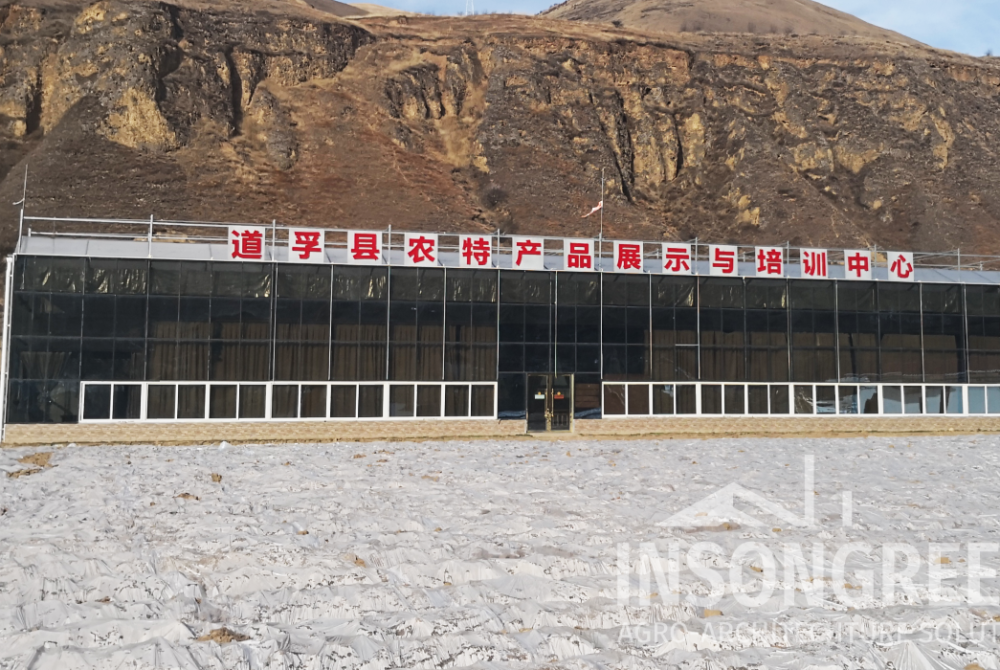 INSONGREEN Glass Greenhouse - Agro Exhibition Hall