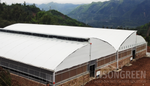 Livestock House by INSONGREEN