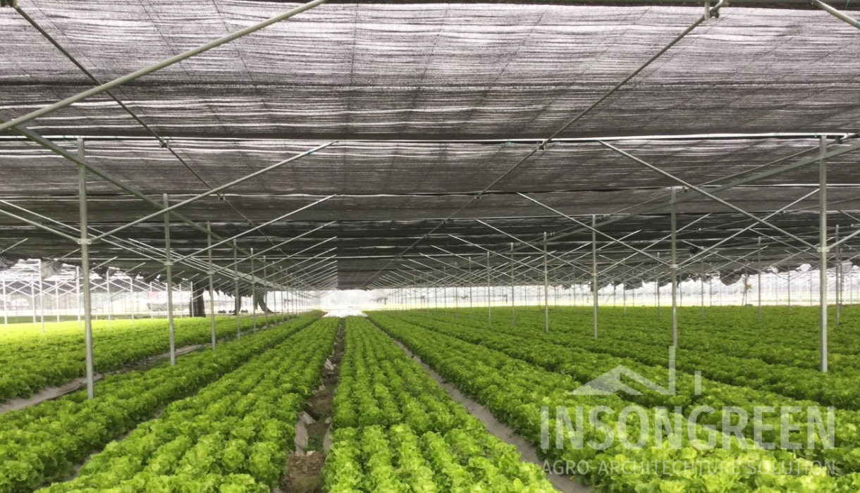 Shade Structure by INSONGREEN