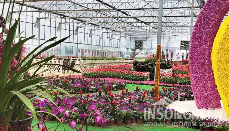 Floriculture Greenhouse by INSONGREEN