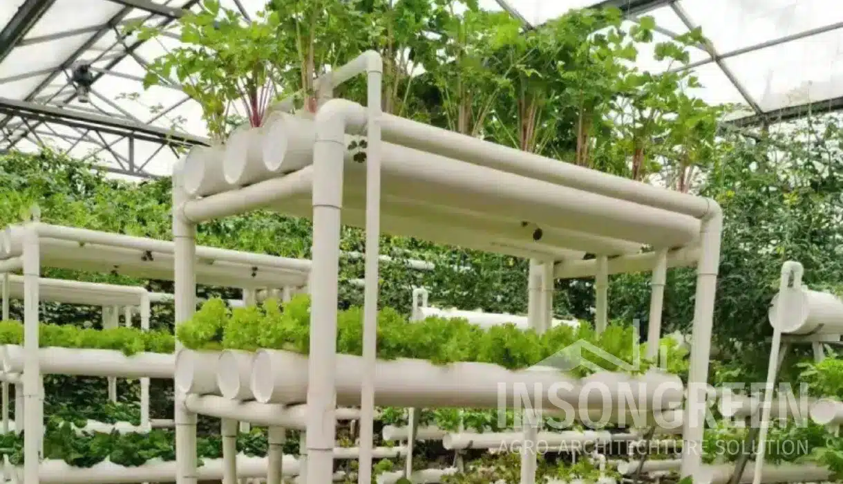 Hydroponics Greenhouse by INSONGREEN