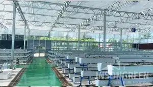 INSONGREEN hydroponic greenhouse supplies