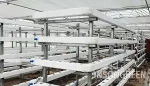 INSONGREEN hydroponic system