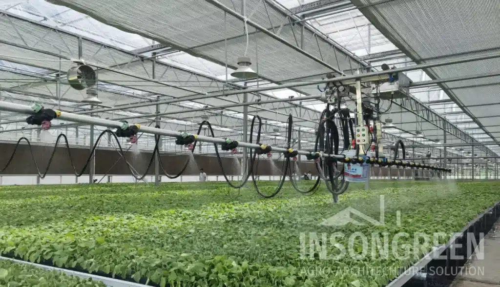 Nurseries Greenhouse