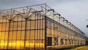 INSONGREEN Glass Greenhouse Venlo