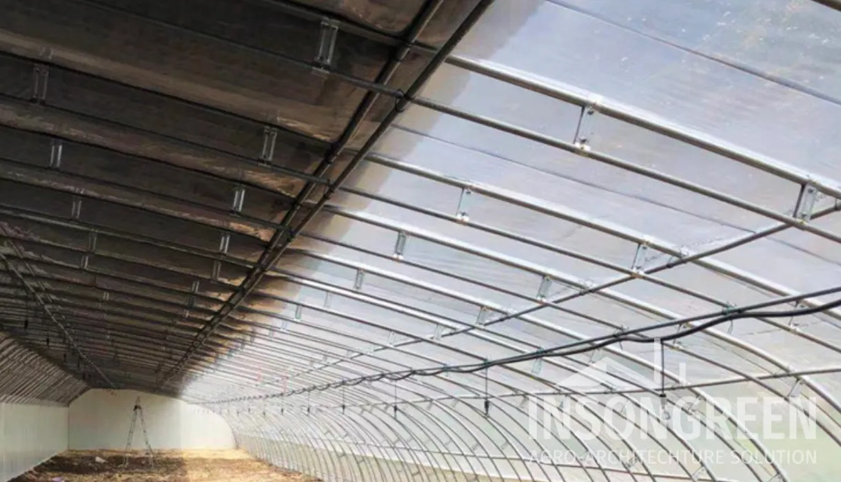 Cold Frame Greenhouse Structure by INSONGREEN