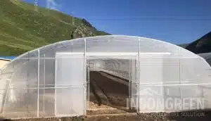 Freestanding Greenhouse with Poly Covering