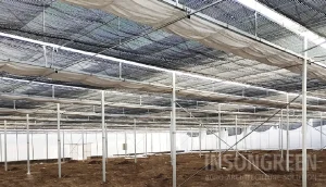 Greenhouse Structure with Inner Shade System