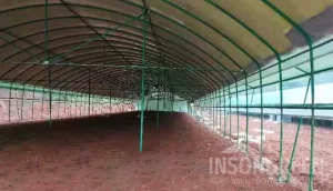 High Tunnel Structure