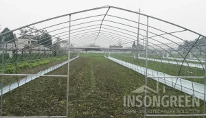 INSONGREEN Freestanding Greenhouse Structure