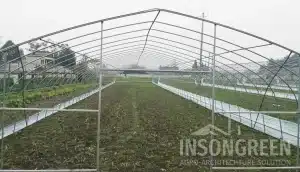 INSONGREEN Freestanding Greenhouse Structure