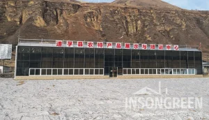 INSONGREEN Glass Greenhouse - Agro Exhibition Hall