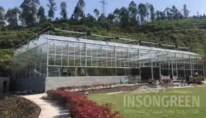 INSONGREEN Glass Greenhouse - Eco Restaurant