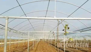 INSONGREEN Rain Shelter