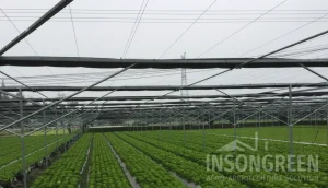 INSONGREEN Shade Structure for Plants