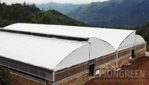 Livestock House by INSONGREEN