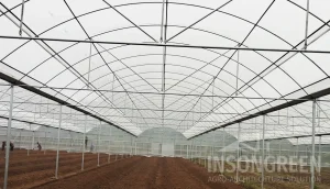 Rain Shelter Structure