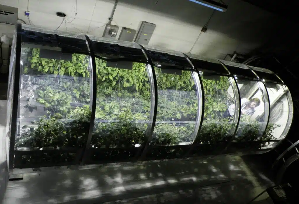 Automated greenhouse system by University of Arizona