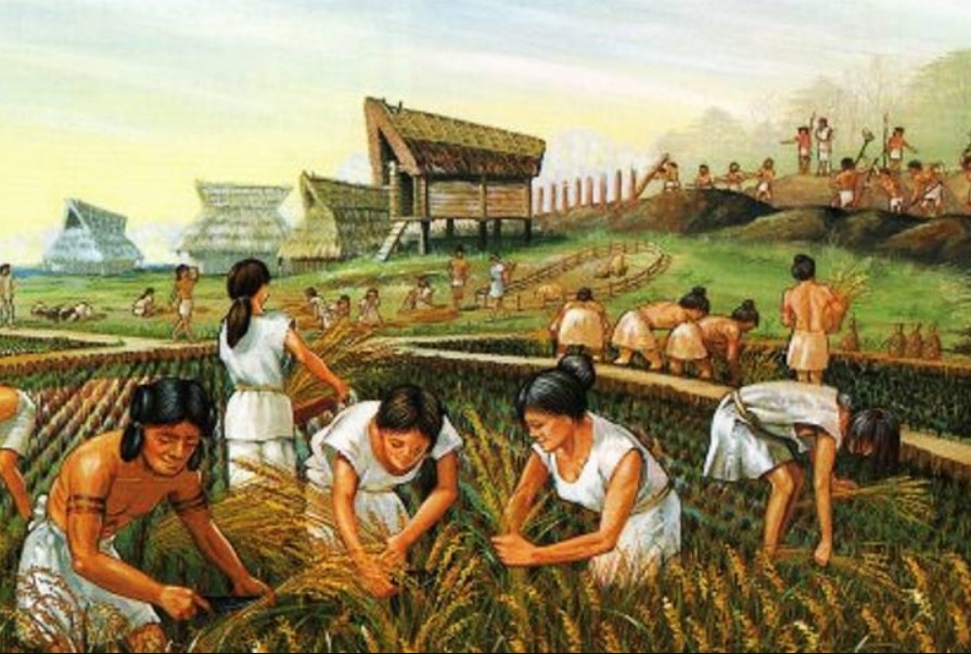 Neolithic Revolution - the start of traditional farming
