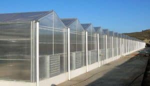 PC sheet industrial greenhouse