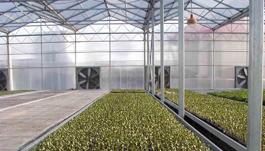 Polycarbonate greenhouse