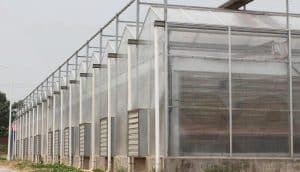 Polycarbonate greenhouse - large scale
