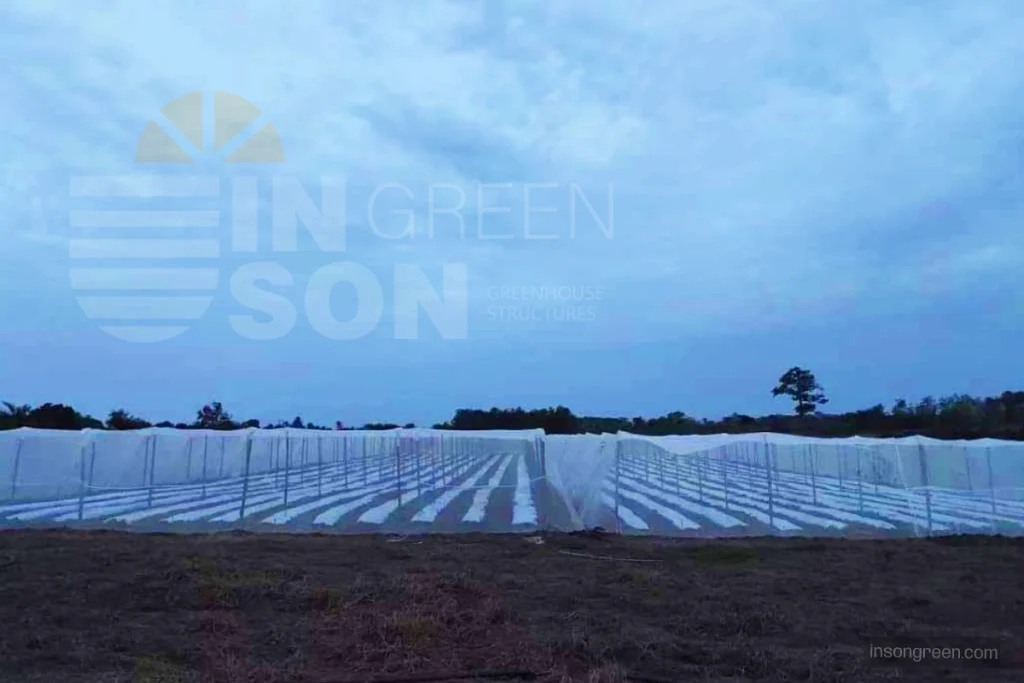 Insect Netting Structure - pic 2