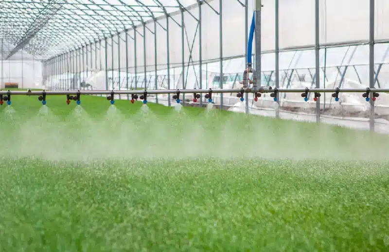 Irrigation System for Commercial Greenhouse
