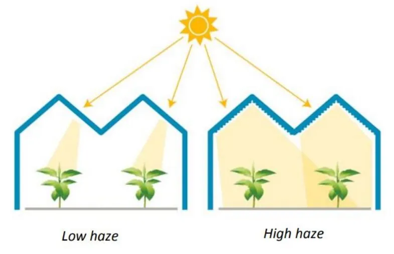 Low Haze vs. High Haze - img from migoglass