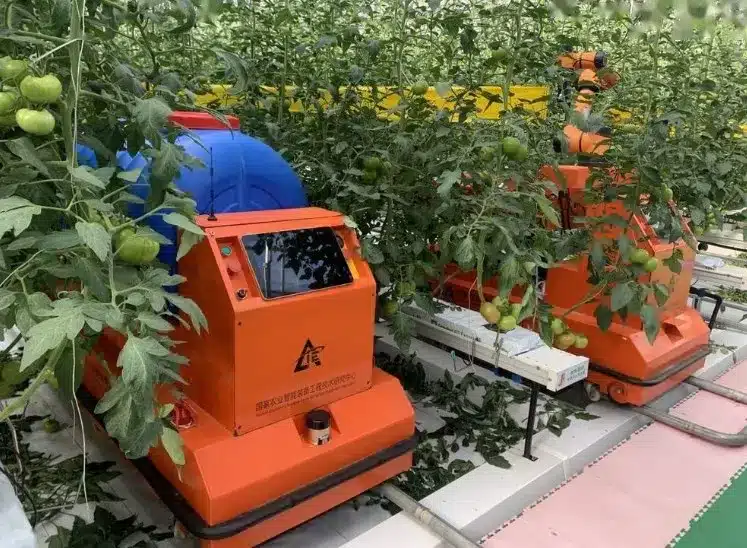 Robots in Smart Greenhouses