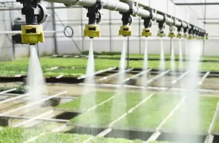 Watering System of Smart Greenhouses