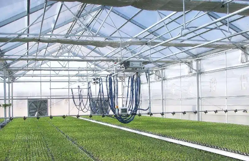 What Type of Glass is Used for Greenhouses_