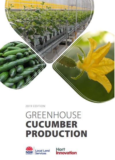 GREENHOUSE CUCUMBER PRODUCTION in Australia