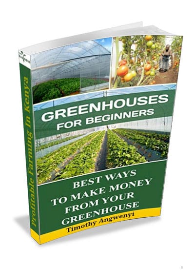 Greenhouse For Beginners in Kenya (Africa)