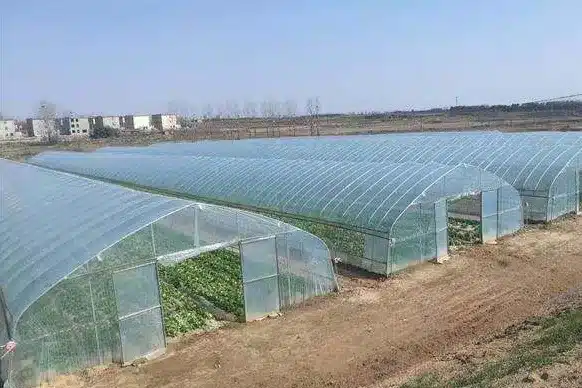 Low-Tech Greenhouses