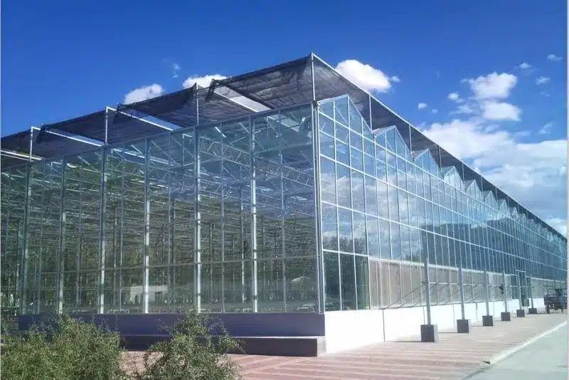 Glass greenhouses