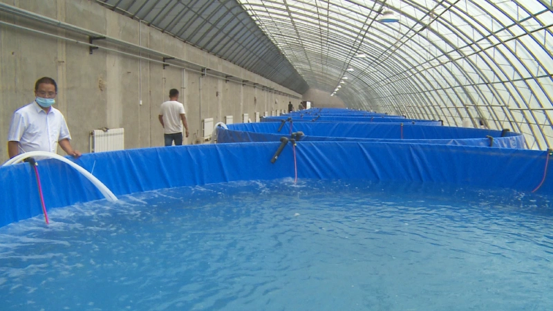 Aquaculture Greenhouse