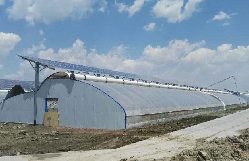 Commercial Greenhouse Types