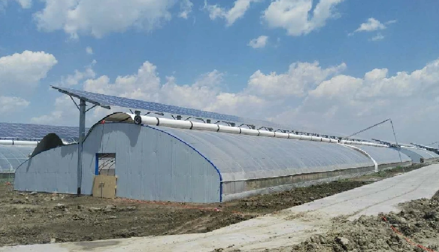 Commercial Greenhouse Types